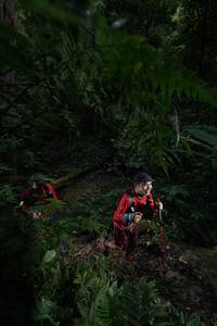 BIB: 
                            <button type="button" onclick="openModal(16029811)" class="btn btn-primary btn-sm float-right btn-popup" data-toggle="modal" data-target=".modal-high-quality">
                        <i class="fas fa-shopping-cart"></i> Add to Cart
                    </button>
                                            <button type="button" onclick="isThisMe(16029811, true)" class="btn btn-success btn-sm float-right btn-popup btn-isme hidden" data-toggle="tooltip" data-placement="bottom" title="นี่คือรูปของคุณใช่ไหม คลิกที่นี่เพื่อเอาเข้าอัลบั้ม">
                        <i class="fas fa-plus"></i> Add to album
                    </button>
                    <button type="button" onclick="isThisMe(16029811, false)" class="btn btn-warning btn-sm float-right btn-popup btn-isnotme hidden">
                        <i class="fas fa-ban"></i> Remove from album
                    </button>